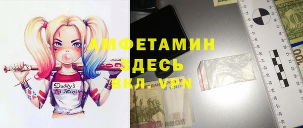 индика Бородино