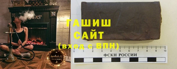 индика Бородино