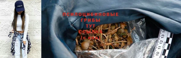 индика Бородино