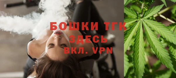 индика Бородино