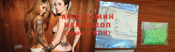 индика Бородино