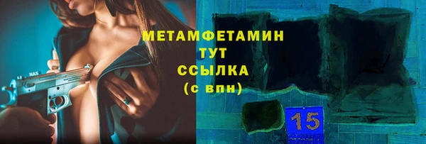 индика Бородино
