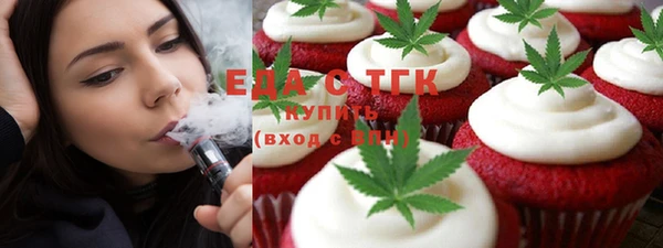 индика Бородино