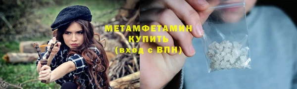 индика Бородино