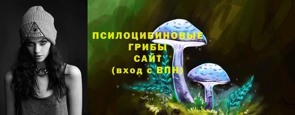 тгк Бронницы