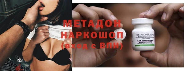 индика Бородино