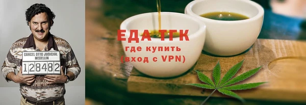индика Бородино