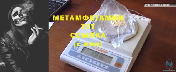 индика Бородино