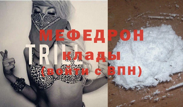 индика Бородино