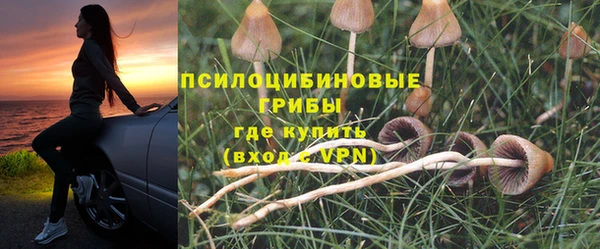 мдпв Бугульма