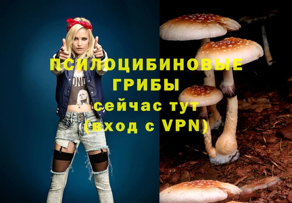 мдпв Бугульма