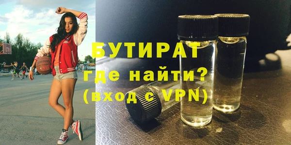 индика Бородино