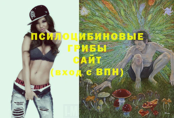 мдпв Бугульма