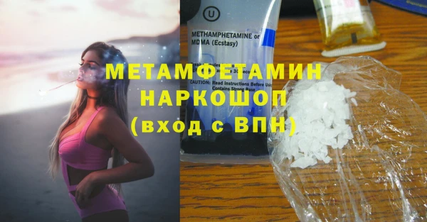 индика Бородино