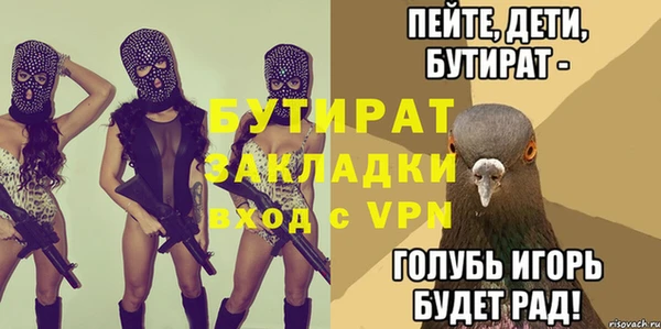 индика Бородино