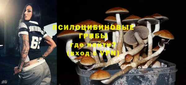 мдпв Бугульма
