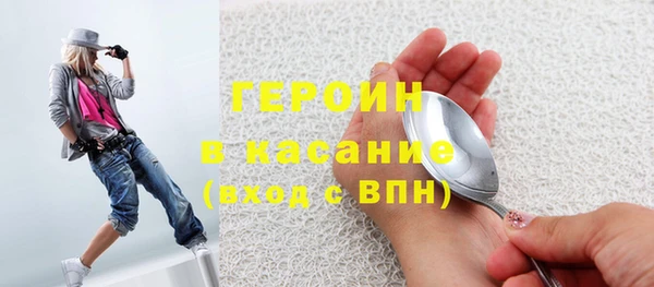 индика Бородино